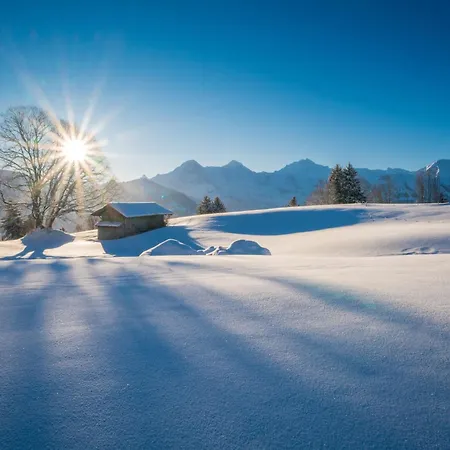 Edelweiss Direkt In 4 Sterne By Interhome Appartement Beatenberg