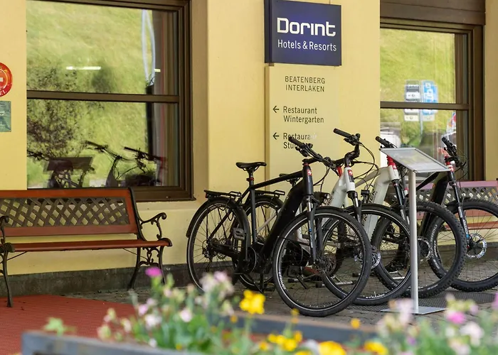 Апартаменты Edelweiss Direkt In 4 Sterne By Interhome Беатенберг