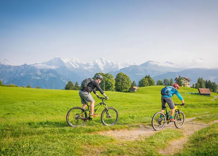 Edelweiss Direkt In 4 Sterne By Interhome Апартаменты Беатенберг