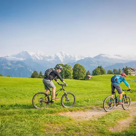 Edelweiss Direkt In 4 Sterne By Interhome Appartamento Beatenberg