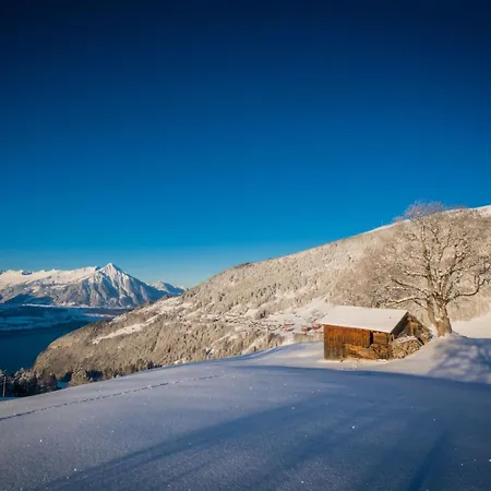 Appartamento Edelweiss Direkt In 4 Sterne By Interhome